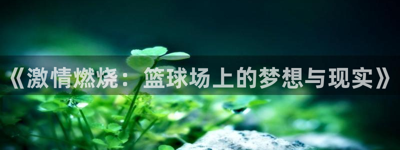 vsport体育官网下载平台注册流程图:《激情燃烧:篮球场上