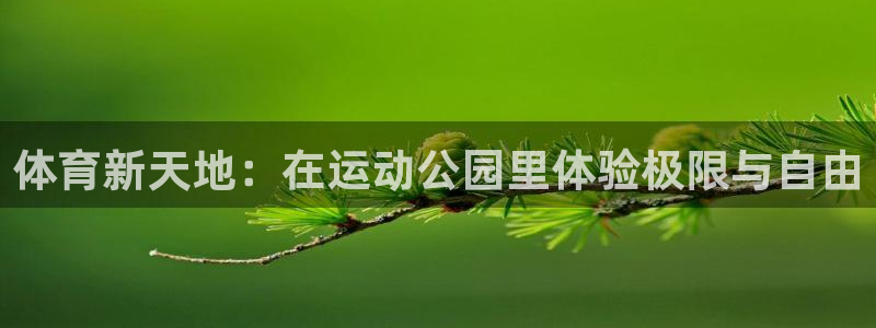 vsport体育官方正版app神州:体育新天地:在运动公园里