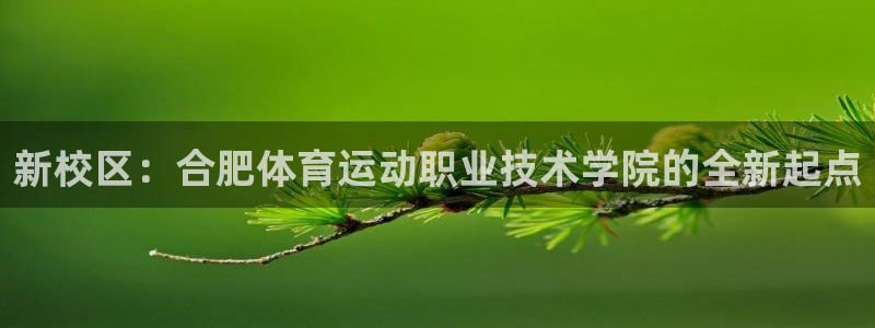 vsport体育官网下载招商:新校区:合肥体育运动职业技术学