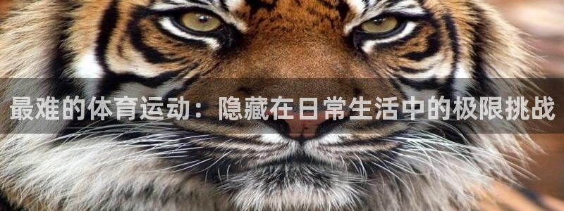 vsport体育官网下载招商电话是多少号码:最难的体育运动: