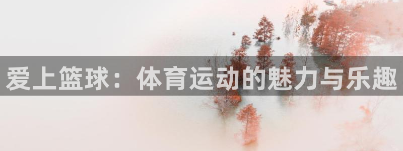 vsport体育官网下载平台假的吗是真的吗吗:爱上篮球:体育